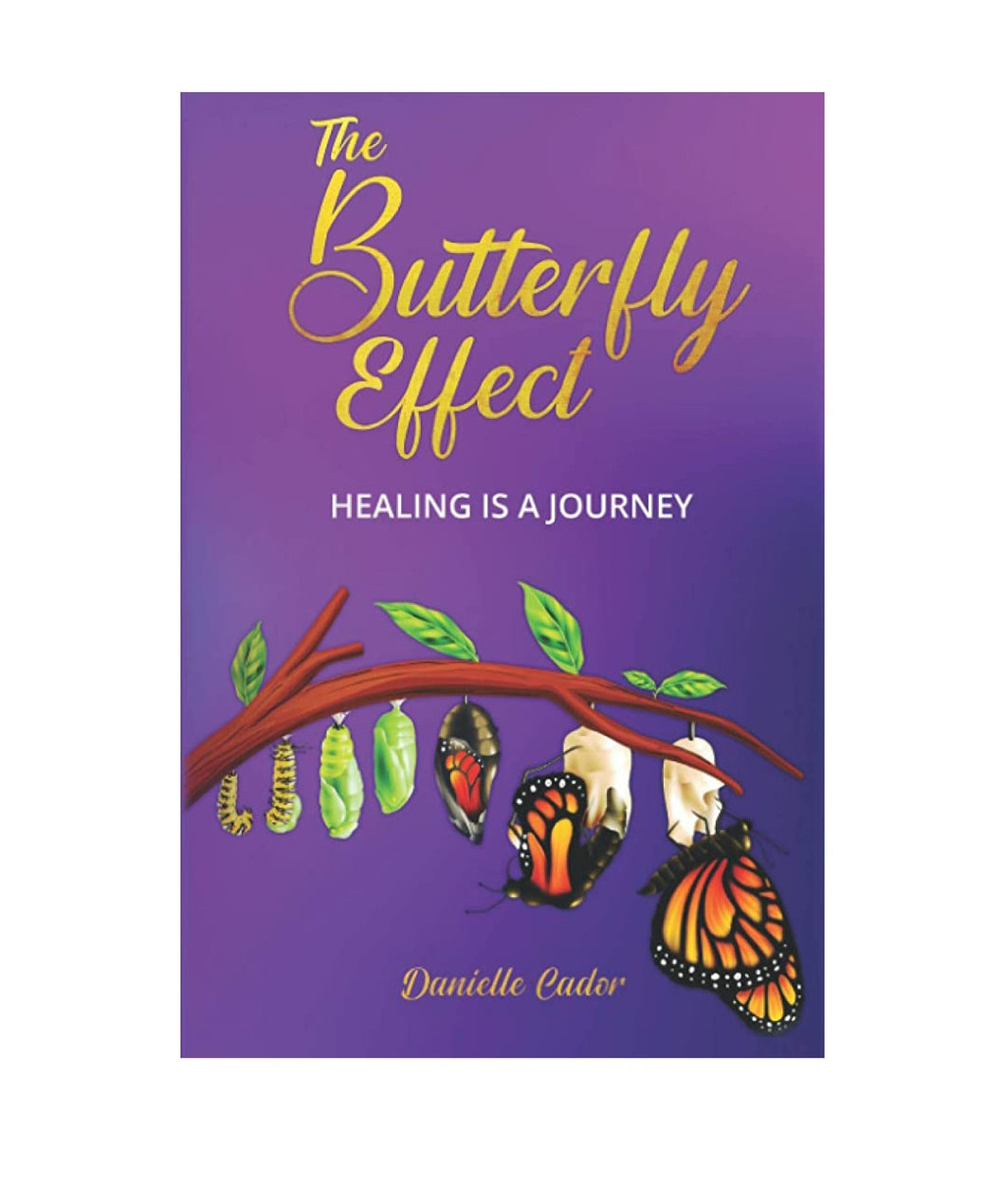 The Butterfly Effect: Healing is a Journey (paperback)